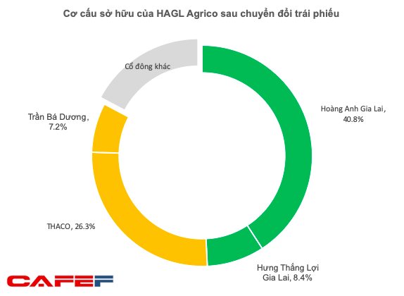  Hoàn tất chuyển đổi trái phiếu cho THACO, tỷ lệ sở hữu của nhóm HAGL tại HAGL Agrico xuống dưới mức chi phối 50%  - Ảnh 1.