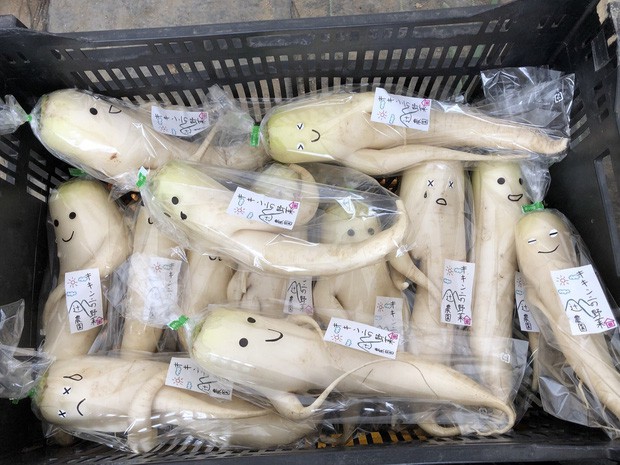 Trước nguy cơ bị vứt bỏ, loạt củ cải trắng xấu xí đã được nông dân Nhật Bản giải cứu nhờ bao bì cực thú vị - Ảnh 4.