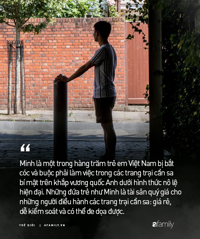 Cuộc đời nô lệ của cậu bé người Việt bị bán sang Anh trồng cần sa: Bị bắt cóc, tấn công tình dục và những sang chấn tâm lý kinh hoàng - Ảnh 1.
