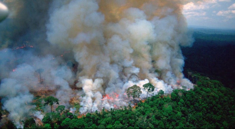 Dù có vẻ sợ hãi và đáng lo ngại, nhưng hình ảnh về cháy rừng Amazon sẽ đem đến cho bạn một cảm giác hoàn toàn khác. Đó là cảm giác sự luyến tiếc, xót xa và cả cảm giác niềm tin vào sự phục hồi của thiên nhiên. Hãy xem chi tiết những bức ảnh này để đóng góp vào việc bảo vệ môi trường và thiên nhiên của chúng ta.