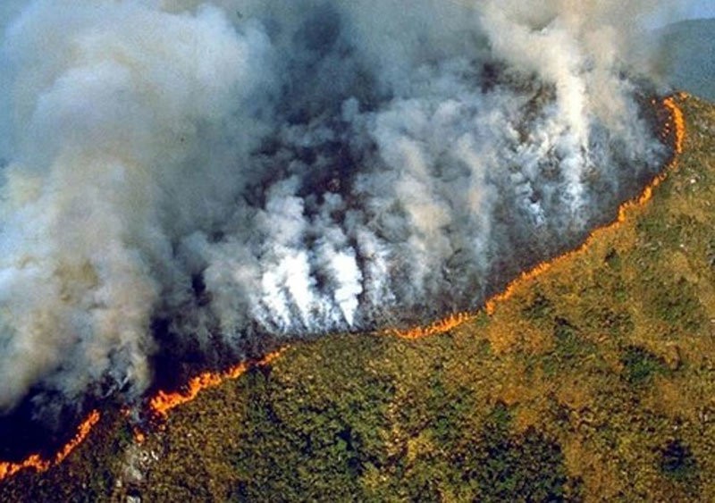 Cháy rừng Amazon: Cháy rừng Amazon đang phá hủy một trong những môi trường sống quan trọng nhất của thế giới. Hãy cùng xem qua những ảnh xấu xí này và tìm hiểu tại sao việc bảo vệ môi trường rất quan trọng trong cuộc sống của chúng ta.