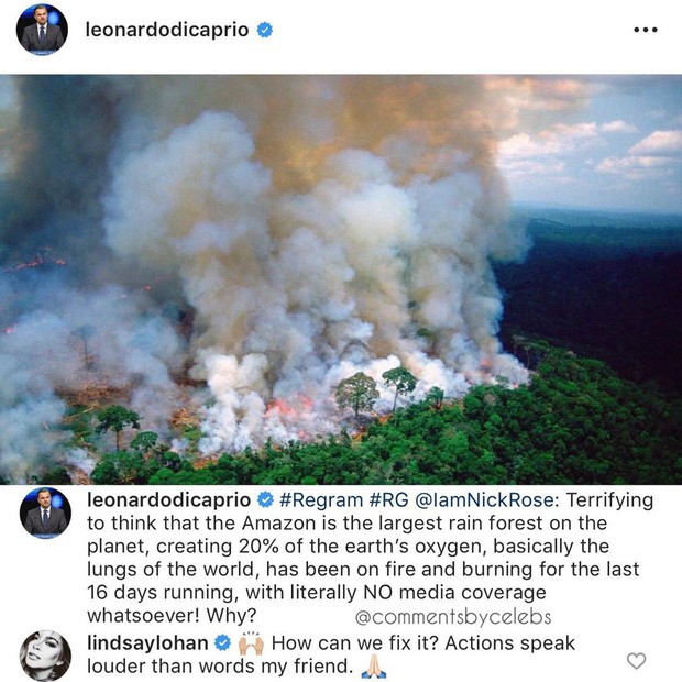 Kêu gọi sự quan tâm về cháy rừng Amazon nhưng bị Lindsay Lohan hỏi khó, Leonardo DiCaprio đáp trả ngay bằng bài viết 2 triệu like - Ảnh 1.