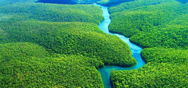 Loạt ảnh gây sốc về rừng Amazon bùng cháy với tốc độ kỷ lục: Khói có thể nhìn thấy từ ngoài không gian, các thành phố bị bao phủ mù mịt như tận thế - Ảnh 20.