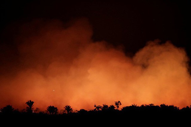 Thảm họa của thế kỉ 21: Rừng Amazon có thể tự dập lửa nhưng bị chính con người “bức tử” và sự trả thù của thiên nhiên sẽ vô cùng tàn khốc - Ảnh 4.