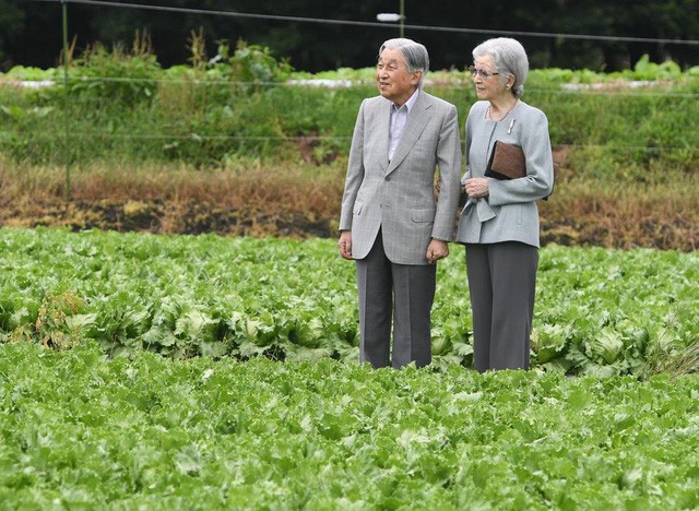  Ngôn tình ngoài đời thực: Vợ chồng cựu Nhật hoàng nắm tay nhau hưởng thú vui tuổi già, 60 năm tình yêu vẫn vẹn nguyên  - Ảnh 5.