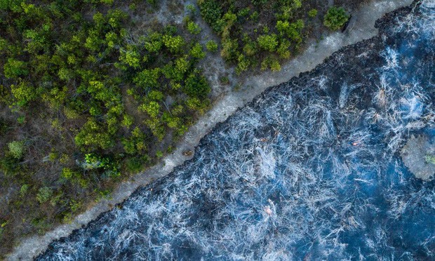 5 cách giải cứu rừng Amazon từ Quỹ Quốc tế Bảo vệ Thiên nhiên WWF: Hãy đọc ngay để biết bạn nên làm gì lúc này - Ảnh 9.