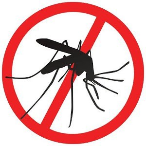 Bé nhỏ là thế, tại sao muỗi có thể đe dọa mạng sống của một nửa dân số thế giới? - Ảnh 9.