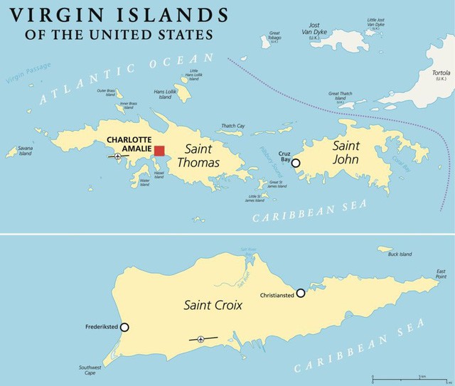 Mỹ đã mua quần đảo Virgin từ Đan Mạch như thế nào? - Ảnh 2.
