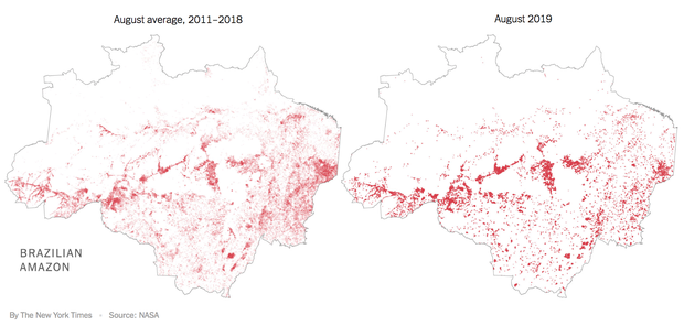 The New York Times: Phân tích ảnh vệ tinh đã chỉ ra chính xác thủ phạm gây cháy rừng thảm họa tại Amazon - Ảnh 4.