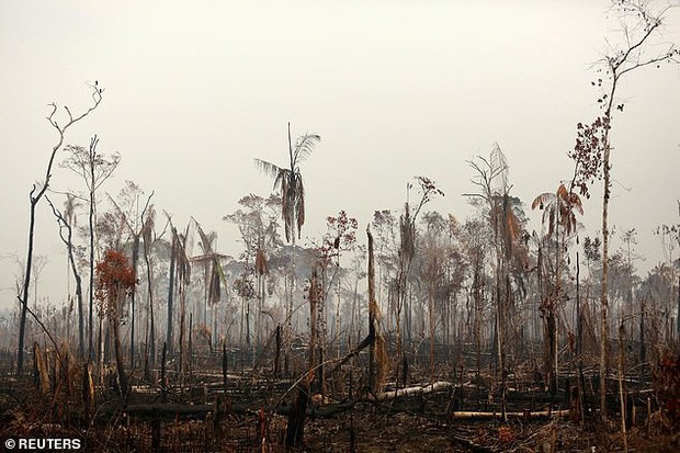  Dân bản địa Brazil gào khóc trước cảnh tượng rừng Amazon bốc cháy: Họ đang giết chết những dòng sông và nguồn sống của chúng tôi - Ảnh 3.