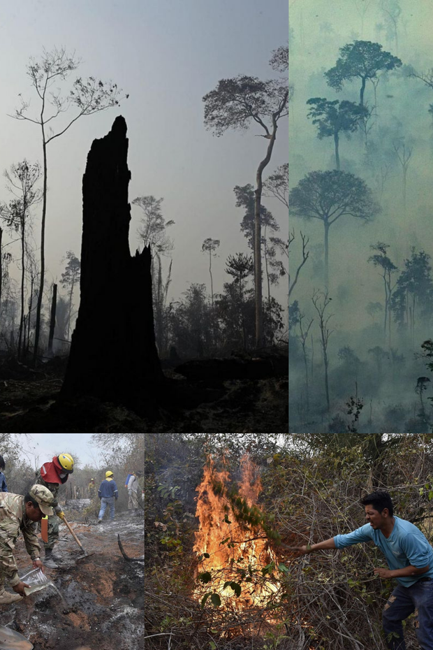 Loạt ảnh Amazon trước và sau đại nạn cháy rừng 2019: Lá phổi xanh ngày nào đã mang đầy bệnh tật do con người đầu độc - Ảnh 15.