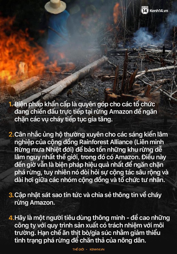 Loạt ảnh Amazon trước và sau đại nạn cháy rừng 2019: Lá phổi xanh ngày nào đã mang đầy bệnh tật do con người đầu độc - Ảnh 16.