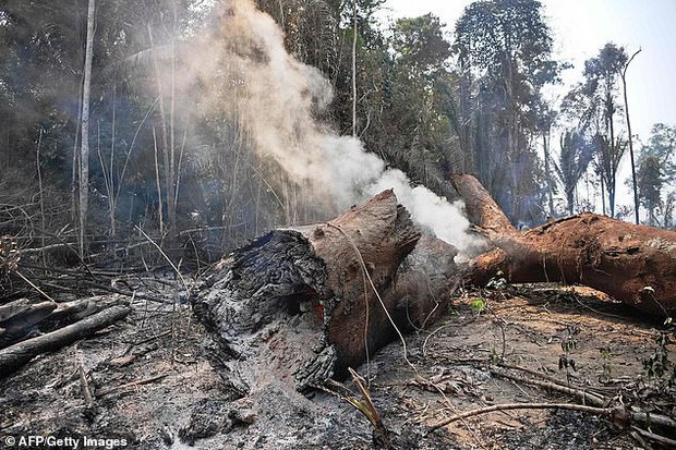  Dân bản địa Brazil gào khóc trước cảnh tượng rừng Amazon bốc cháy: Họ đang giết chết những dòng sông và nguồn sống của chúng tôi - Ảnh 4.