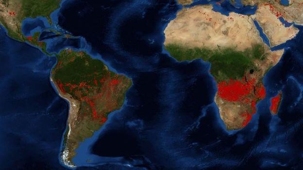 Châu Phi đang bị thiêu đốt, số vụ cháy rừng nhiều gấp 5 lần ở Amazon - Ảnh 1.