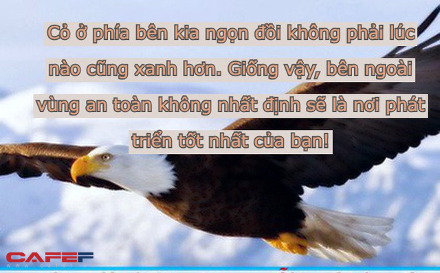  Chẳng phải kiểu người này nhưng cứ cố bước khỏi vùng an toàn là tự “bóp chết” sự nghiệp của bản thân: Bạn có ngốc ngếch chạy theo số đông không?  - Ảnh 1.