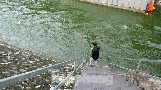 Nước sông Tô Lịch trong veo sau bão, cần thủ thỏa sức buông câu bắt cá - Ảnh 3.