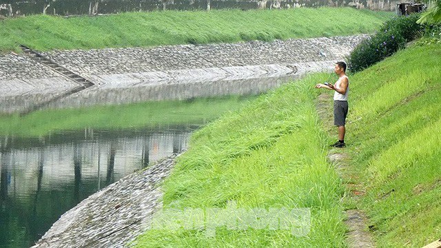 Nước sông Tô Lịch trong veo sau bão, cần thủ thỏa sức buông câu bắt cá - Ảnh 7.