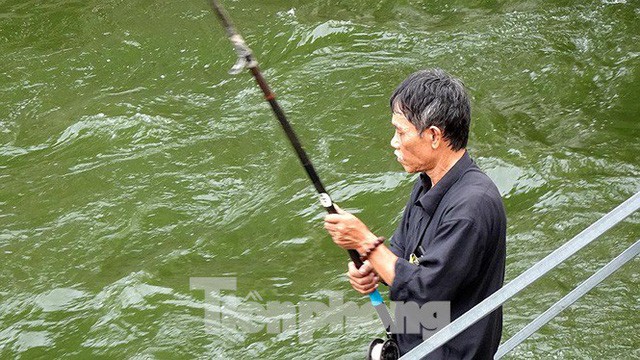 Nước sông Tô Lịch trong veo sau bão, cần thủ thỏa sức buông câu bắt cá - Ảnh 8.