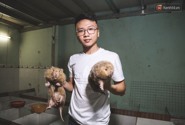Chàng sinh viên Sài Gòn thu nhập 40 triệu đồng/tháng nhờ nuôi dúi bằng máy lạnh - Ảnh 2.