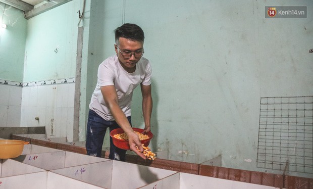 Chàng sinh viên Sài Gòn thu nhập 40 triệu đồng/tháng nhờ nuôi dúi bằng máy lạnh - Ảnh 6.