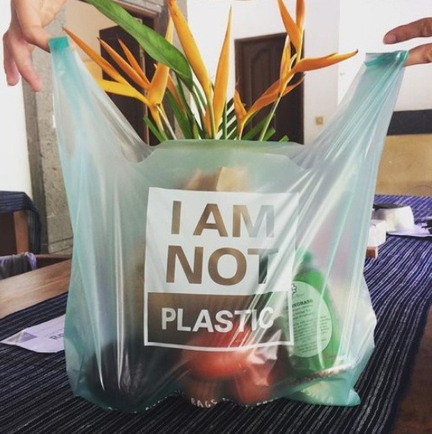 Chiếc túi này chính là thứ sẽ thay đổi toàn bộ cuộc chiến chống nhựa trên toàn thế giới: Chẳng khác gì túi nylon nhưng lại... bổ dưỡng cho sinh vật biển - Ảnh 1.