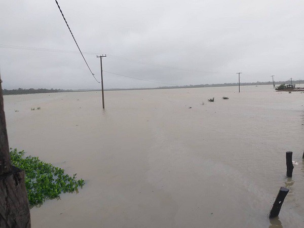 1.500ha trái cây của HAGL tại Lào bị ngập lụt - Ảnh 1.