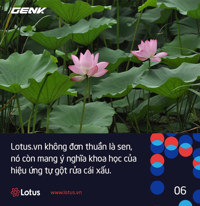 Hiệu ứng Lotus chính là lời lý giải khoa học cho câu ca dao gần bùn mà chẳng hôi tanh mùi bùn - Ảnh 5.