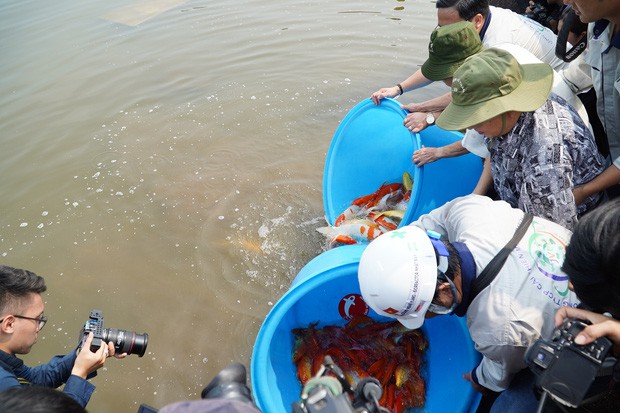 Chuyên gia Nhật thả cá Koi xuống sông Tô Lịch để chứng minh chất lượng nước sau khi xử lý - Ảnh 7.