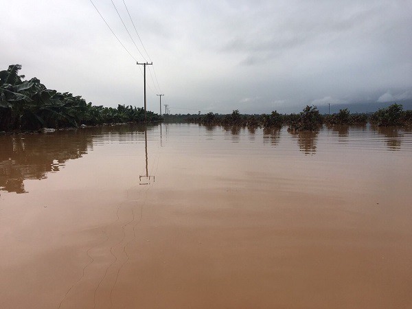 1.500ha trái cây của HAGL tại Lào bị ngập lụt - Ảnh 7.