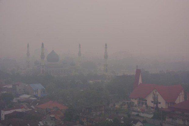 Cháy rừng khiến các nước Đông Nam Á chìm trong khói mù - Ảnh 8.