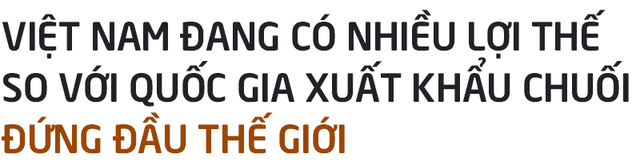  Rót hơn tỷ USD vào HAGL: Chuyện chẳng đùa và giấc mơ khủng về hệ sinh thái nông nghiệp của tỷ phú Trần Bá Dương (Kỳ 1)  - Ảnh 3.