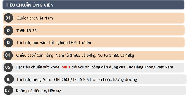 Tuyển sinh phi công đợt 2, Vinpearl Air tổ chức ngày hội tư vấn Chạm ước mơ bay cùng Vinpearl Air tại 3 miền: Bắc, Trung, Nam - Ảnh 2.