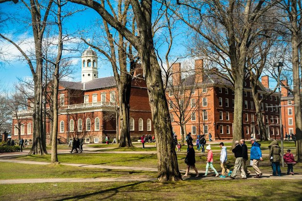 Lương của sinh viên Harvard mới ra trường đã lên đến 1.6 tỷ đồng nhưng chưa là gì so với các trường khác trong khối Ivy League - Ảnh 1.