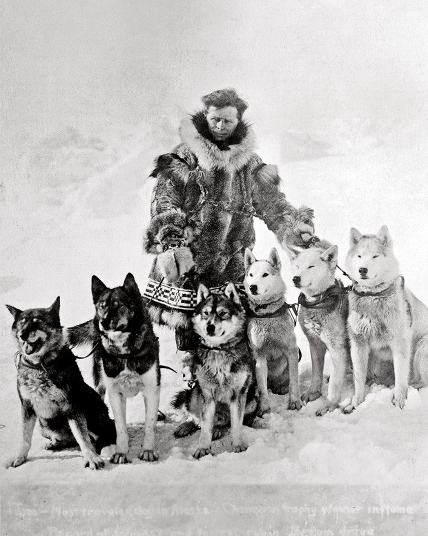 Câu chuyện có thật về 150 chú chó husky anh hùng từng cứu sống ngôi làng 10.000 người khỏi căn bệnh bạch hầu tử thần - Ảnh 2. Câu chuyện có thật về 150 chú chó husky anh hùng từng cứu sống ngôi làng 10.000 người khỏi căn bệnh bạch hầu tử thần - Ảnh 2.