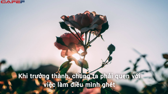 2020: Chỉ cần làm hết mình, không trốn tránh trách nhiệm, sống vui vẻ và học cách chăm sóc bản thân, vậy là trưởng thành - Ảnh 2. 2020: Chỉ cần làm hết mình, không trốn tránh trách nhiệm, sống vui vẻ và học cách chăm sóc bản thân, vậy là trưởng thành - Ảnh 2.