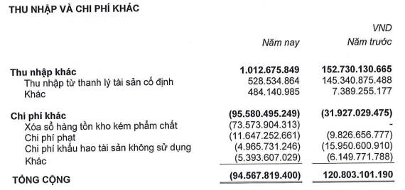  “Làm sạch” số liệu trước khi hợp tác với Thaco, Hùng Vương lỗ thêm 600 tỷ đồng sau kiểm toán  - Ảnh 2.