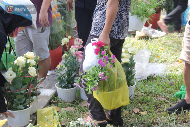 Sau khi tiểu thương ở Sài Gòn đập chậu, ném hoa vào thùng rác, nhiều người tranh thủ chạy đến hôi hoa - Ảnh 2.
