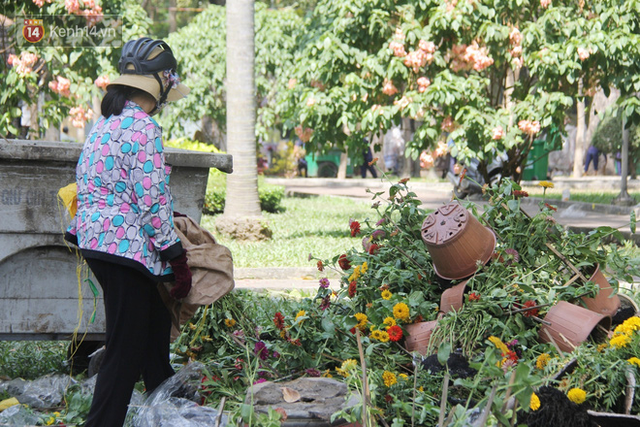  Sau khi tiểu thương ở Sài Gòn đập chậu, ném hoa vào thùng rác, nhiều người tranh thủ chạy đến hôi hoa  - Ảnh 12.