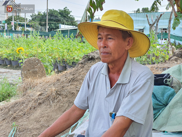  Thương lái bùng 3.000 chậu hoa vạn thọ của lão nông Sài Gòn vào 28 Tết, cộng đồng mạng chung tay mua sạch  - Ảnh 3.