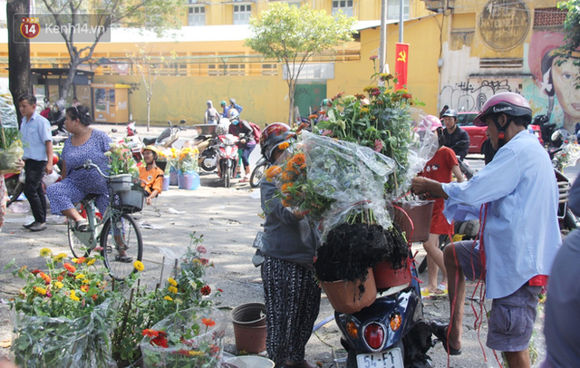 Sau khi tiểu thương ở Sài Gòn đập chậu, ném hoa vào thùng rác, nhiều người tranh thủ chạy đến hôi hoa - Ảnh 3.