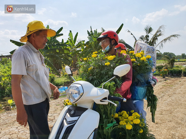  Thương lái bùng 3.000 chậu hoa vạn thọ của lão nông Sài Gòn vào 28 Tết, cộng đồng mạng chung tay mua sạch  - Ảnh 6.