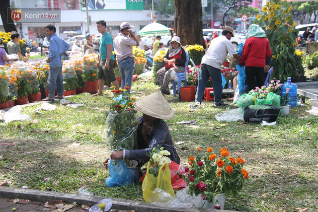 Sau khi tiểu thương ở Sài Gòn đập chậu, ném hoa vào thùng rác, nhiều người tranh thủ chạy đến hôi hoa - Ảnh 6.