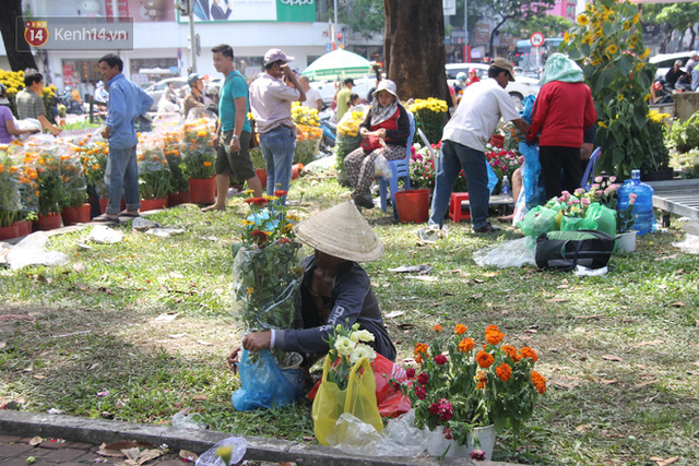  Sau khi tiểu thương ở Sài Gòn đập chậu, ném hoa vào thùng rác, nhiều người tranh thủ chạy đến hôi hoa  - Ảnh 6.