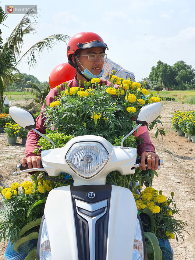  Thương lái bùng 3.000 chậu hoa vạn thọ của lão nông Sài Gòn vào 28 Tết, cộng đồng mạng chung tay mua sạch  - Ảnh 7.
