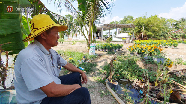  Thương lái bùng 3.000 chậu hoa vạn thọ của lão nông Sài Gòn vào 28 Tết, cộng đồng mạng chung tay mua sạch  - Ảnh 8.