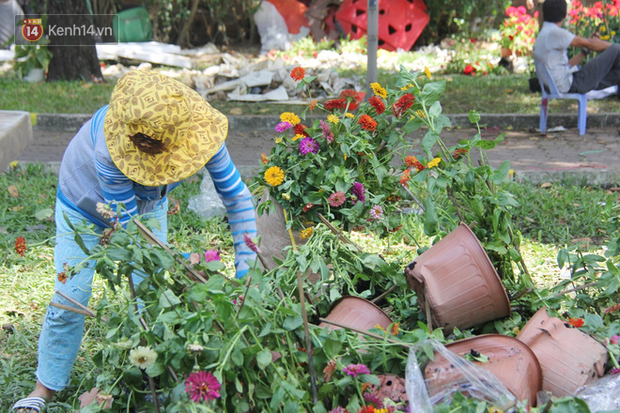  Sau khi tiểu thương ở Sài Gòn đập chậu, ném hoa vào thùng rác, nhiều người tranh thủ chạy đến hôi hoa  - Ảnh 8.
