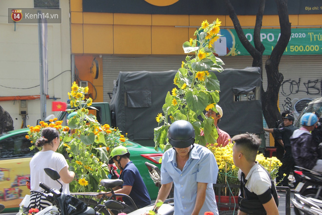 Sau khi tiểu thương ở Sài Gòn đập chậu, ném hoa vào thùng rác, nhiều người tranh thủ chạy đến hôi hoa - Ảnh 9.