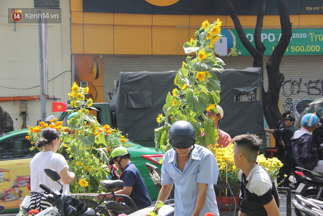  Sau khi tiểu thương ở Sài Gòn đập chậu, ném hoa vào thùng rác, nhiều người tranh thủ chạy đến hôi hoa  - Ảnh 9.