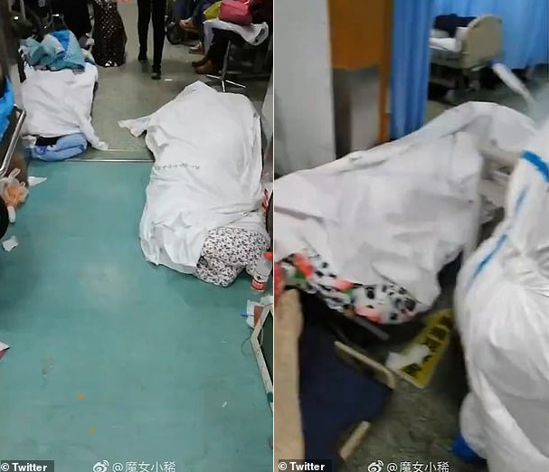  SCMP: Bệnh viện Vũ Hán vỡ trận, khung cảnh như ngày tận thế, thi thể bị bỏ ở ngay giữa hành lang - Ảnh 1.
