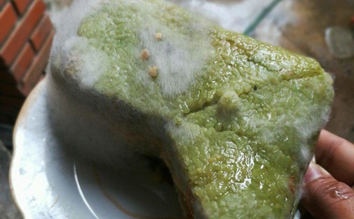 Trong bánh chưng mốc có chứa 2 chất kịch độc gây hại gan, thận, dù loại bỏ phần mốc để ăn vẫn khiến bạn đối mặt với nguy cơ ngộ độc, ung thư - Ảnh 2. Trong bánh chưng mốc có chứa 2 chất kịch độc gây hại gan, thận, dù loại bỏ phần mốc để ăn vẫn khiến bạn đối mặt với nguy cơ ngộ độc, ung thư - Ảnh 2.